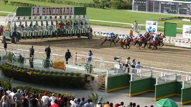 Presos dos hombres involucrados en alterar carrera en Hipódromo de La Rinconada