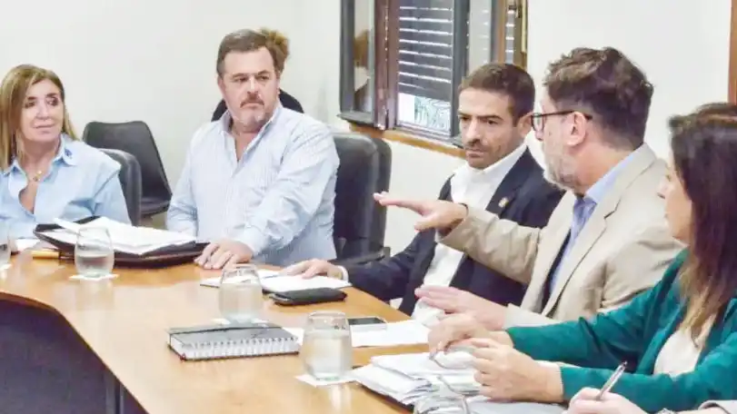 Senado analizó proyecto sobre el arancelamiento hospitalario y de atención humanizada en relación al Síndrome de Down