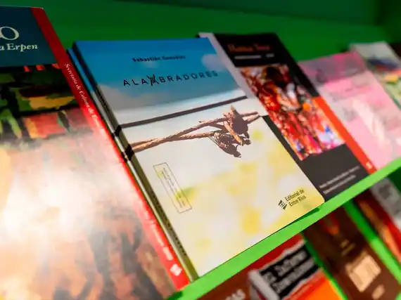 Literatura entrerriana: 26 novelas en carrera por el Premio Fray Mocho 2024