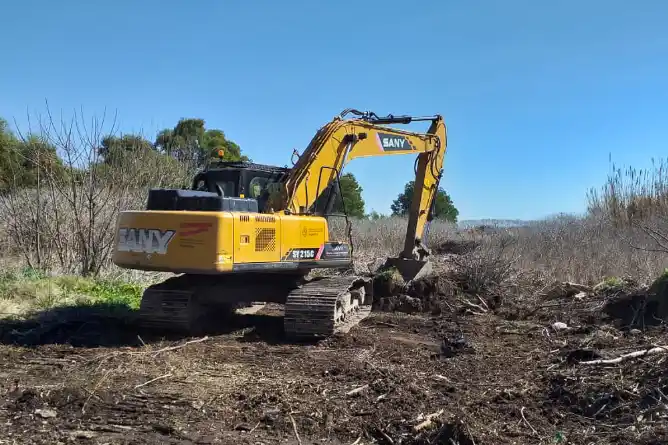 Se profundizan los trabajos de limpieza y conservación de la vía pública