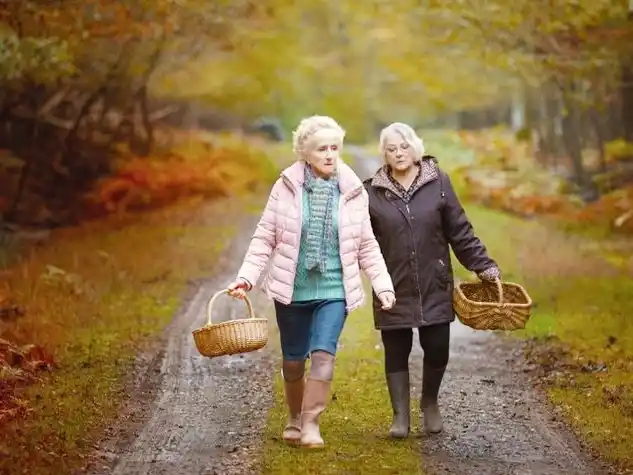 Cuando cae el otoño. Un proverbio moral de Ozon