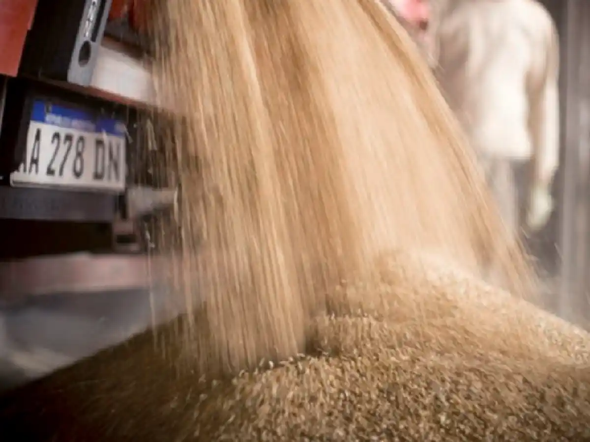 El Gobierno oficializó la creación del Fondo Estabilizador del Trigo Argentino