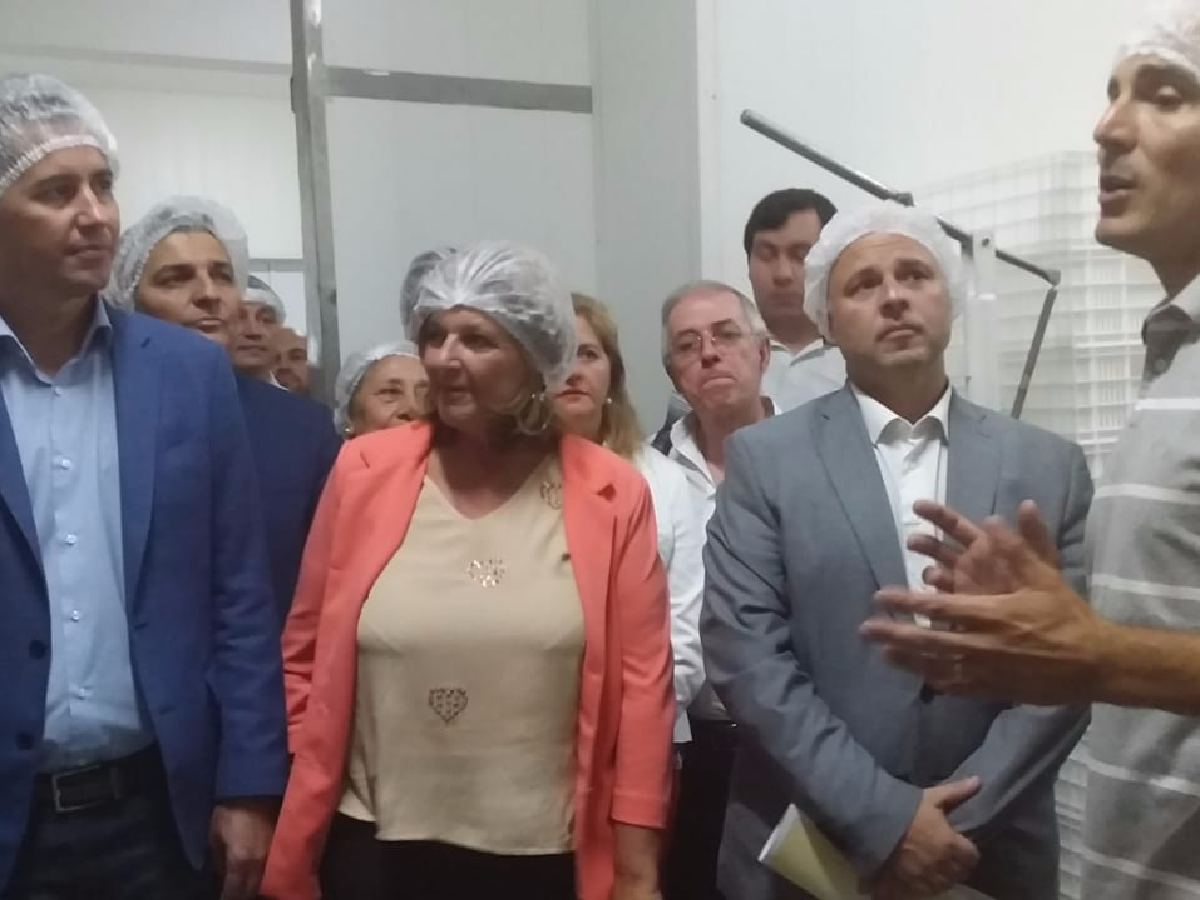En marzo saldrá a la venta el queso azul elaborado en Seeber  