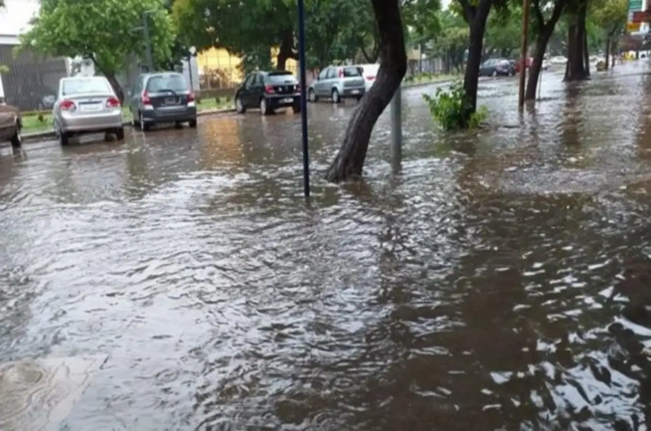 El temporal azotó a Paraná: hubo voladuras de techos y árboles caídos