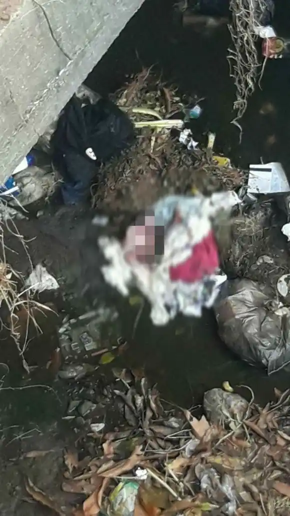 PROFUNDO DOLOR: hallan el feto de un bebé tirado en un puente
