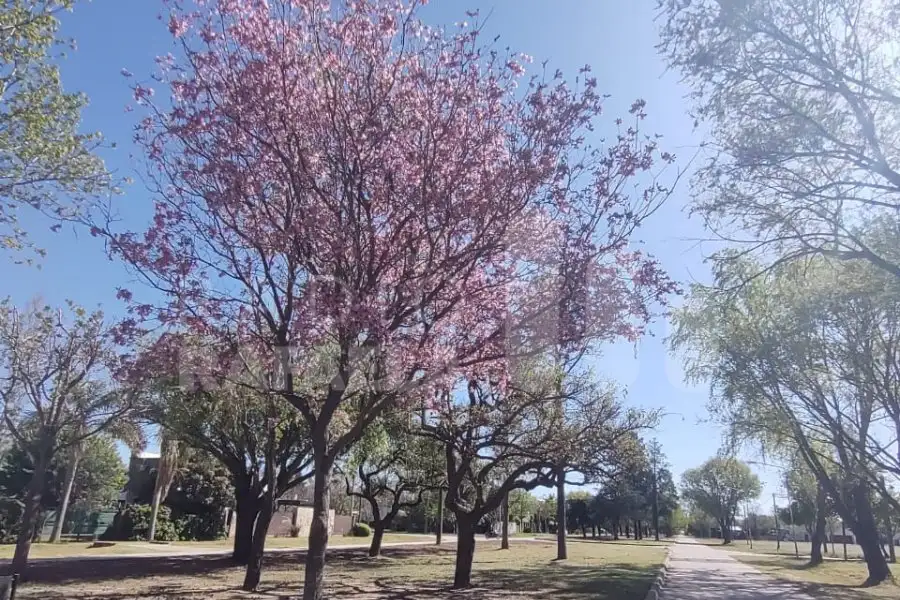 Av. 1 de Marzo, barrio Villa Aeroclub, uno de los sectores elegidos por los jóvenes en el Día del Estudiante.