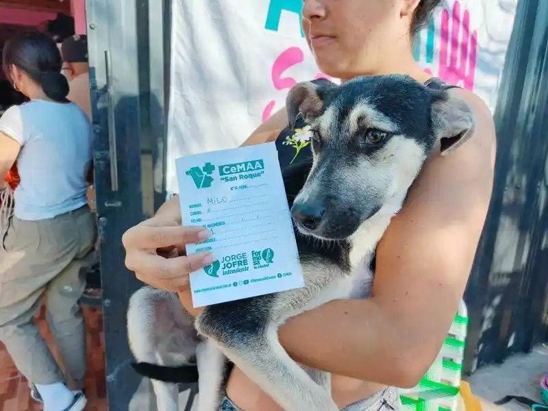 “Las campañas de castración son cruciales 
para tratar la sobrepoblación de animales”