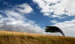 Alerta amarilla por fuertes vientos en todo el oeste bonaerense