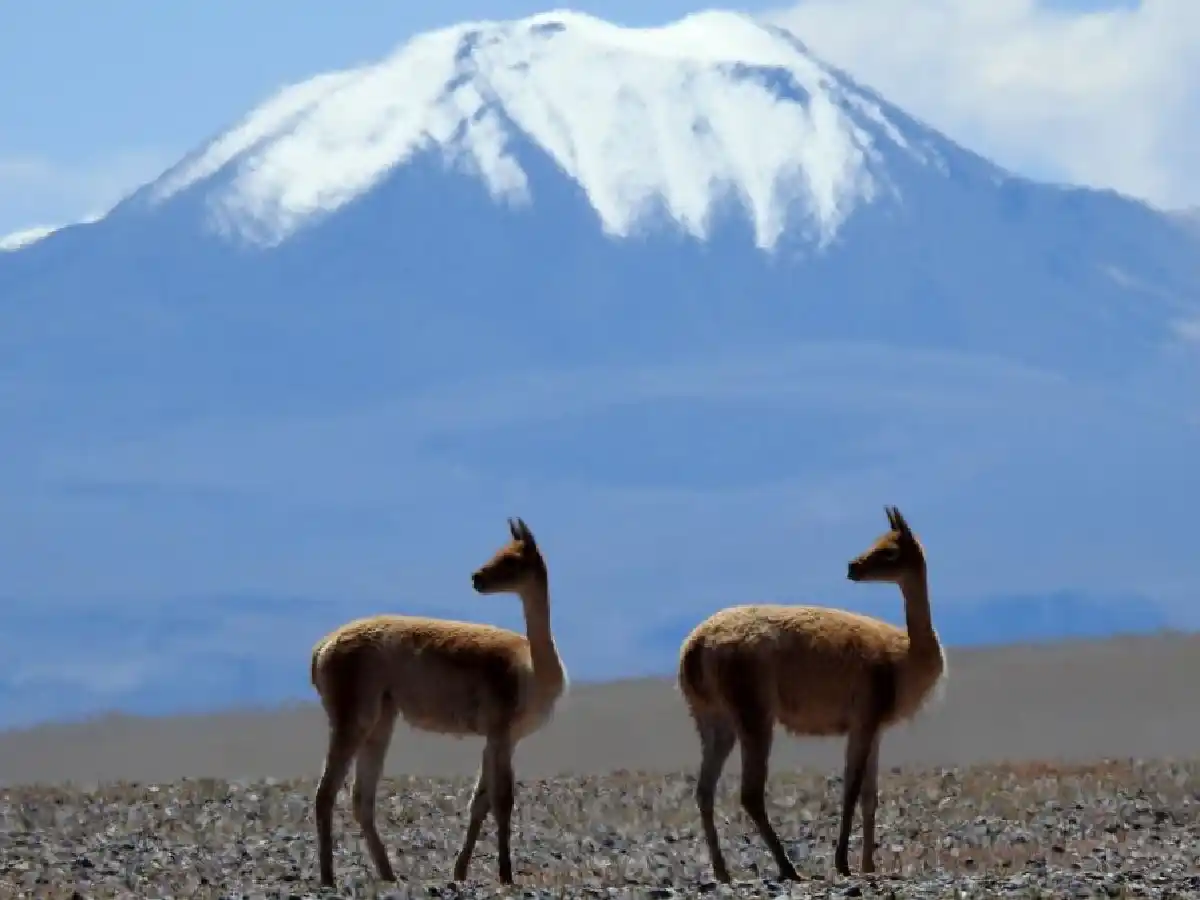 Las montañas, que albergan el 80% de agua dulce mundial, están en riesgo