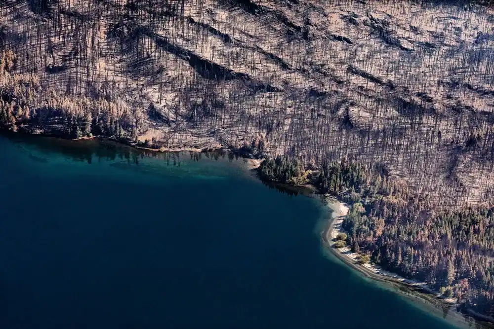 Incendios en la Patagonia: Kicillof envió un grupo de brigadistas y equipamiento para combatir el fuego