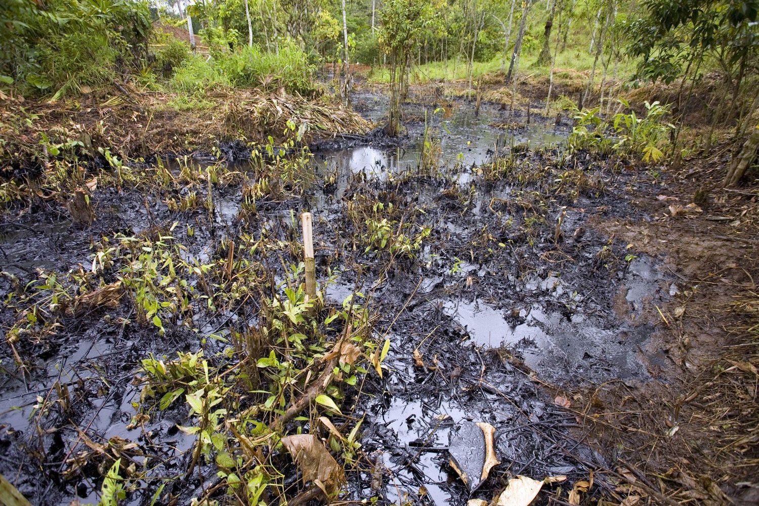 ¿Cuál es el peaje ecológico de los vertidos de petróleo en Latinoamérica?