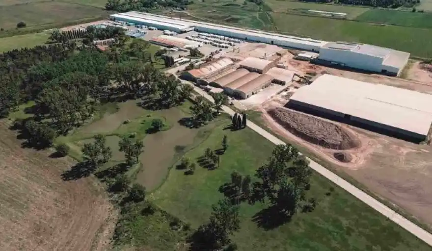 Una importante cerámica de Luján pidió la apertura de un concurso preventivo