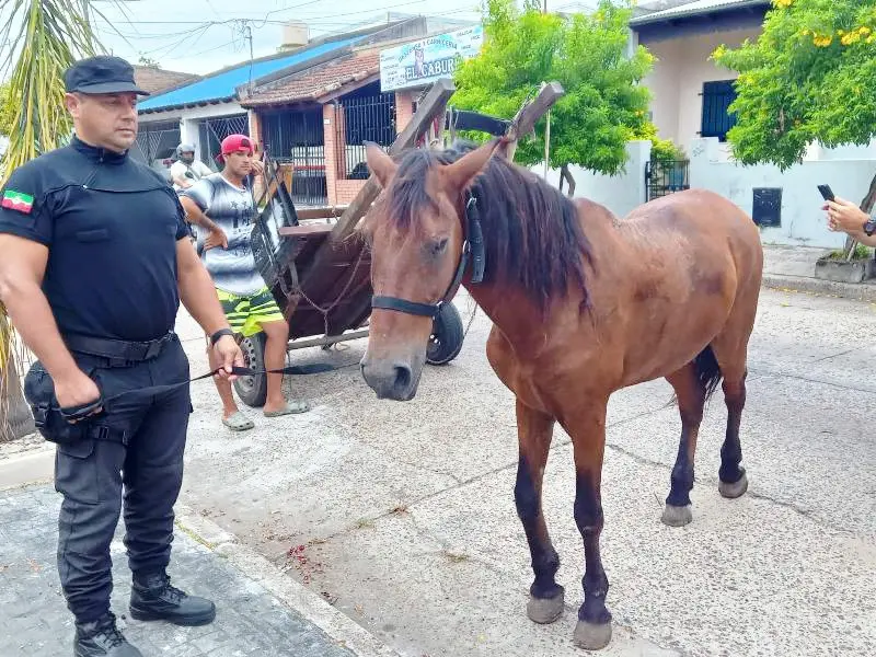 Además circulaba por la zona restringida