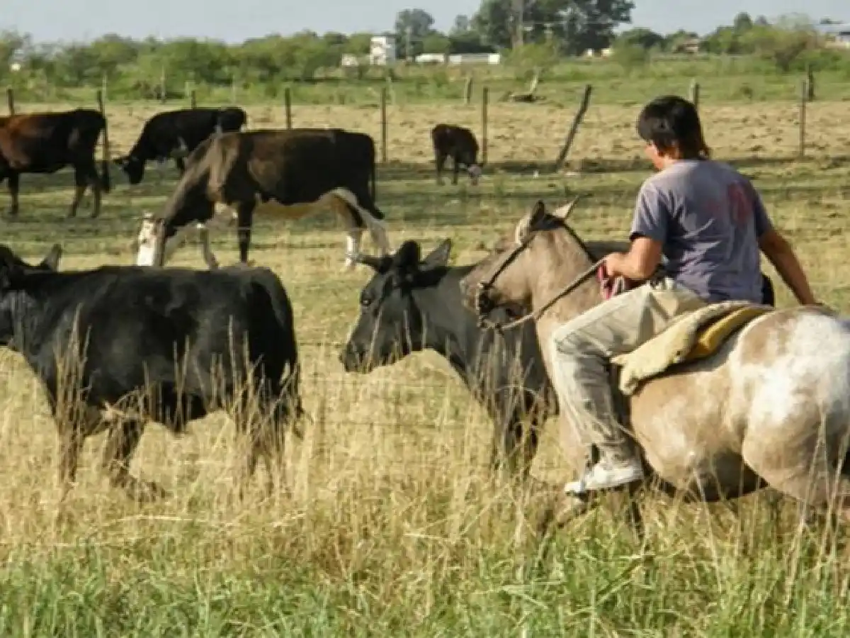 Crean un programa de reinserción laboral para trabajadores rurales
