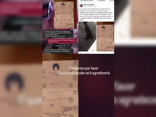 Piden colaboración para costear los gastos veterinarios de Conan