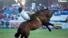 Festival de Jesús María: devolverán la plata a quienes no se vacunen