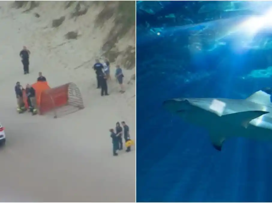 Los servicios de emergencia confirmaron que habían acudido a un "incidente grave por una mordedura de tiburón". (Fotos: The Sun/Freepik)