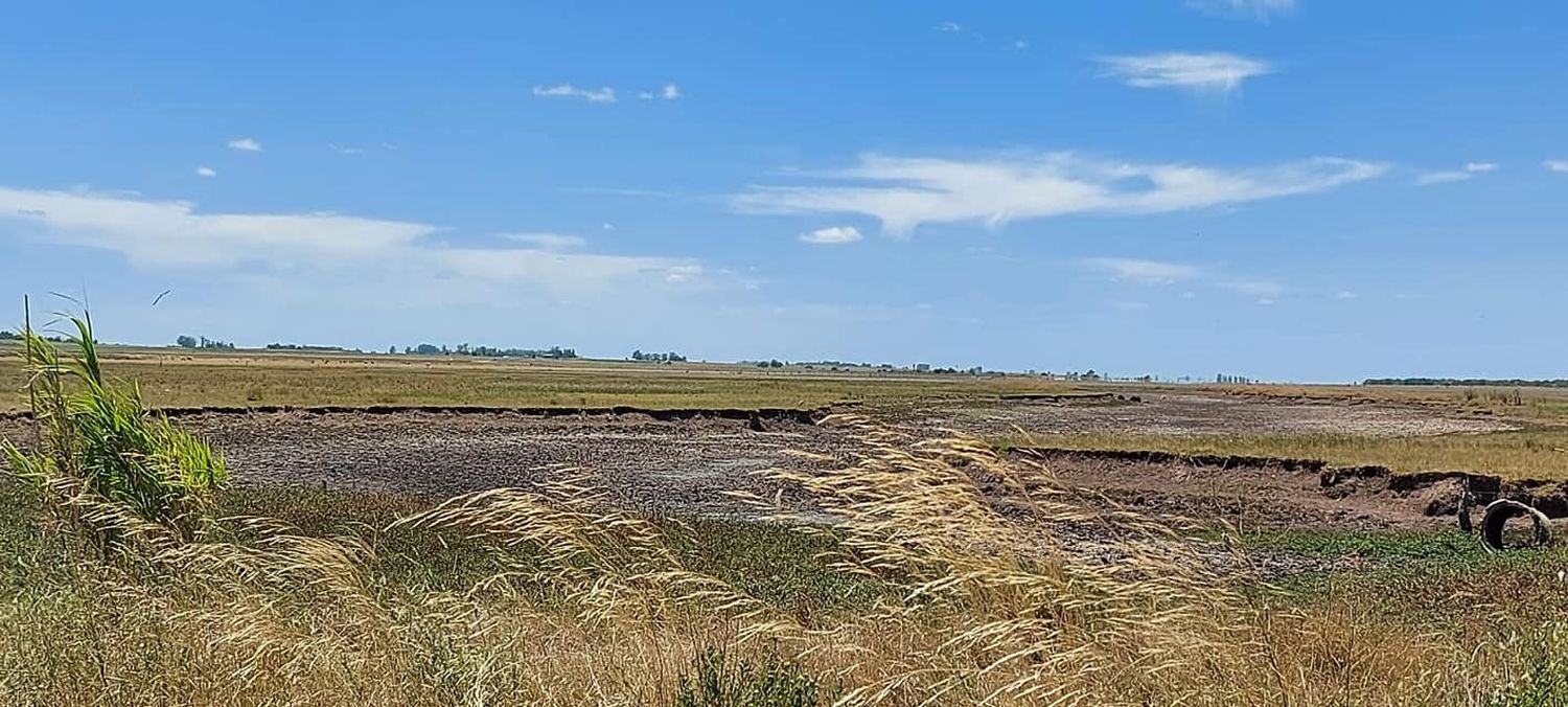 El campo espera que se declare la emergencia agropecuaria