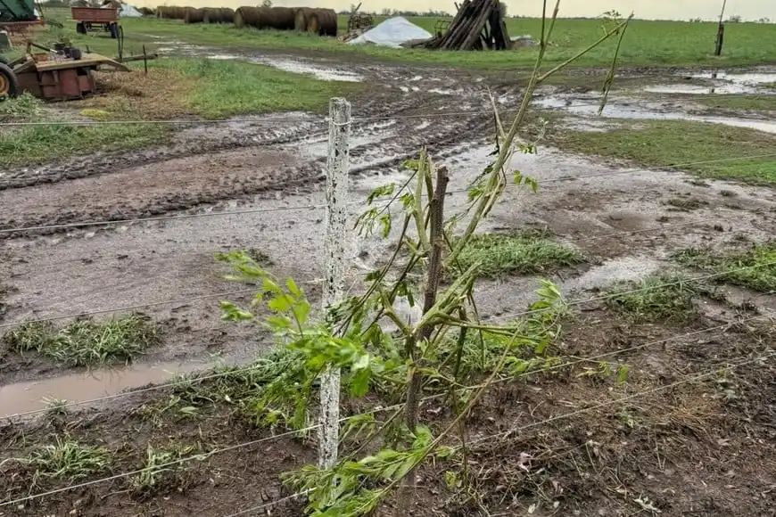 Emergencia Agropecuaria