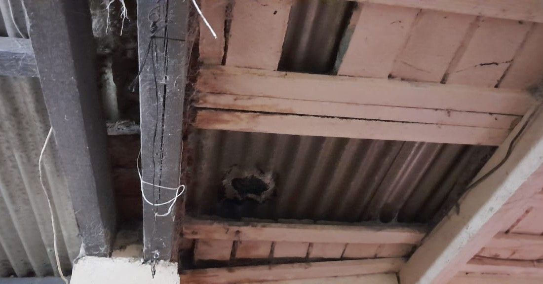 Detectaron 16 trabajadores no registrados y graves irregularidades en tambos