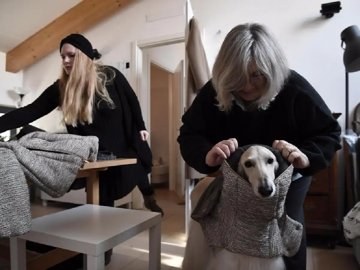 Milán, la capital de la moda canina 