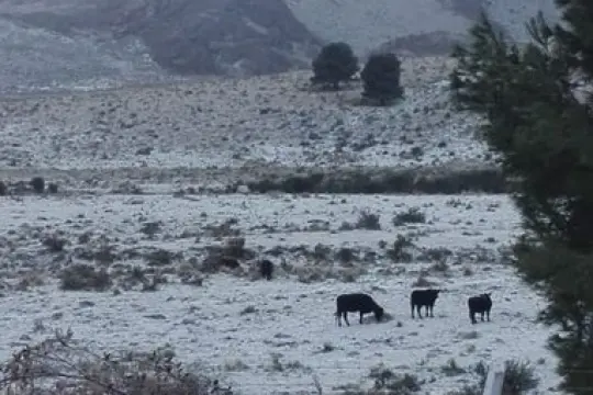 Temperaturas bajo cero y nieve en la Provincia