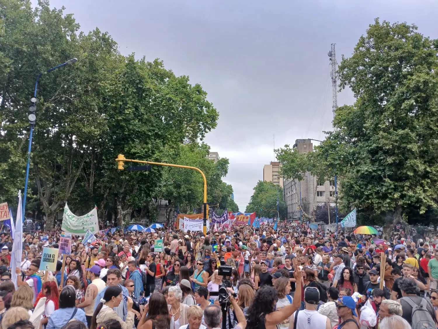 Las calles del centro marplatense se vieron colmadas este sábado.