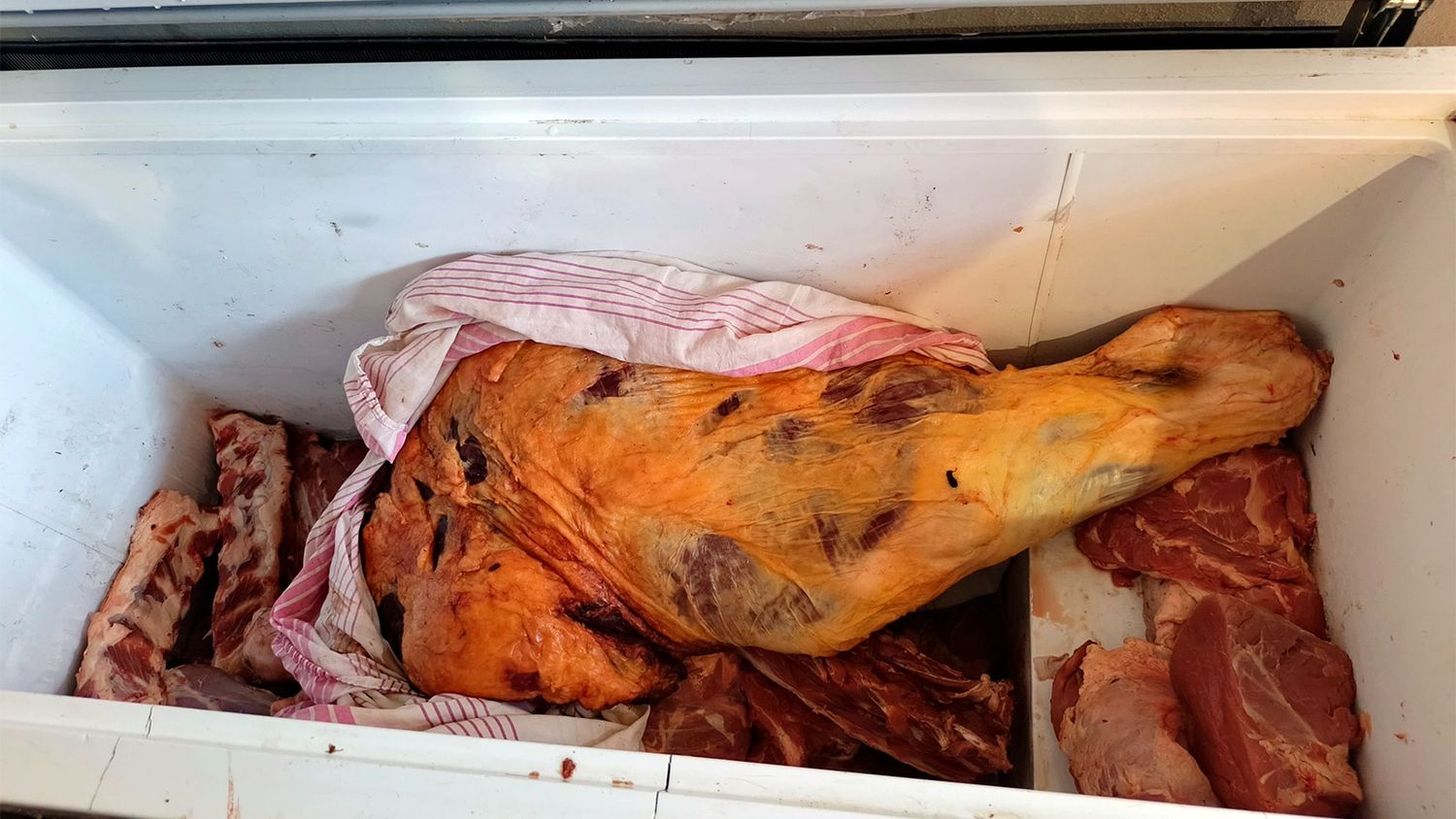 Carne