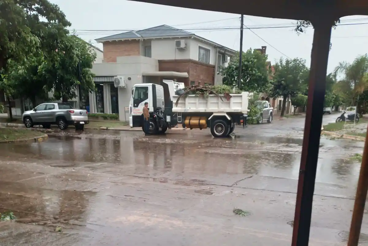 Servicios Públicos recoge ramas de diversos puntos de la ciudad. Foto: La Opinión.