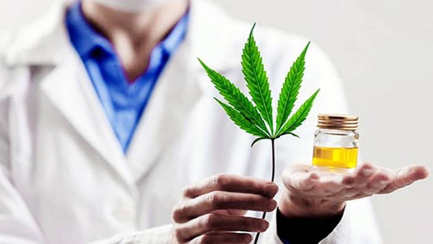 Kulfas: la industria del cannabis permitirá crear  �S10 mil puestos de trabajo⬝