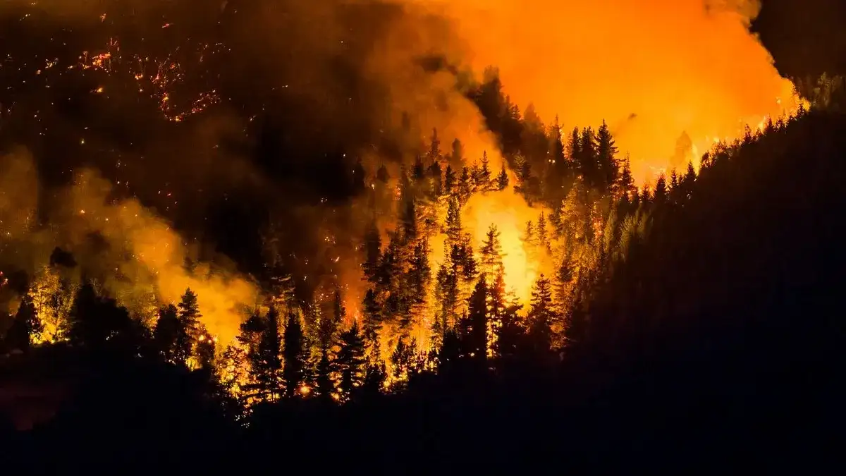 Nevada: casi 90 mil personas bajo alerta por un incendio forestal
