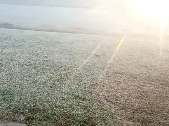 El termómetro arrancó la mañana por debajo del cero, con heladas y neblina.