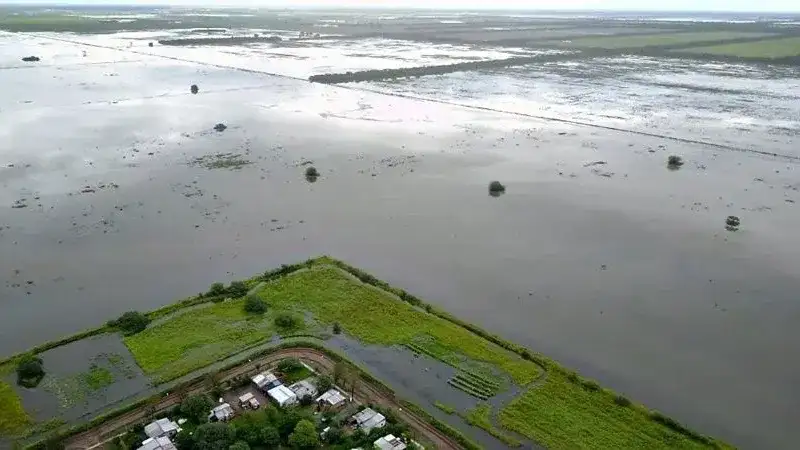 "Ante la llegada de El Niño: la limpieza de Gualeguay empieza en la casa de cada vecino"