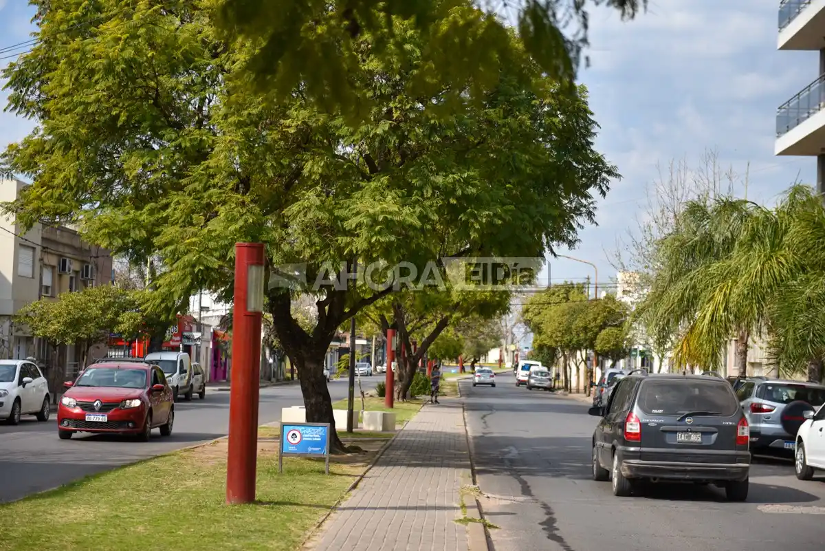 árboles luis n palma - 3