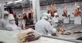 Macron no negocia la carne vacuna y tiembla el acuerdo político entre el Mercosur y la UE