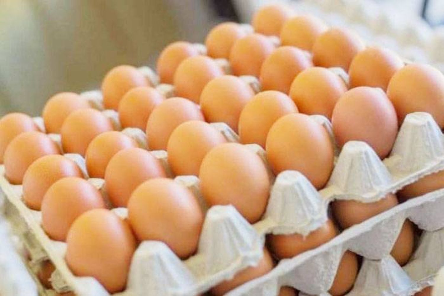 Productores de huevos en plena crisis de rentabilidad