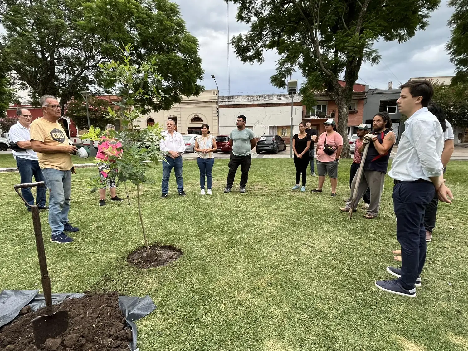 El roble de la plaza renacerá en esculturas