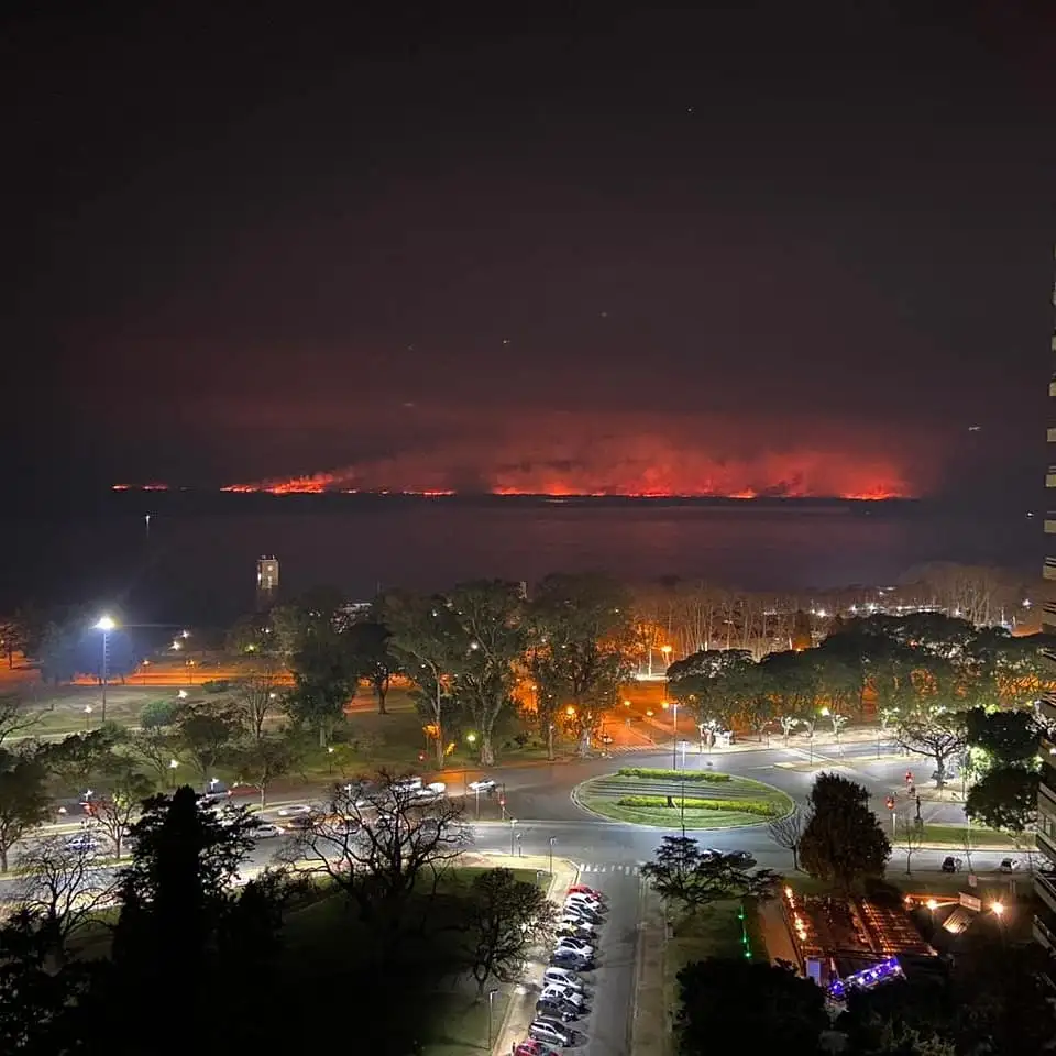 Farer pide que se derogue la prohibición de construir en campos entrerrianos incendiados