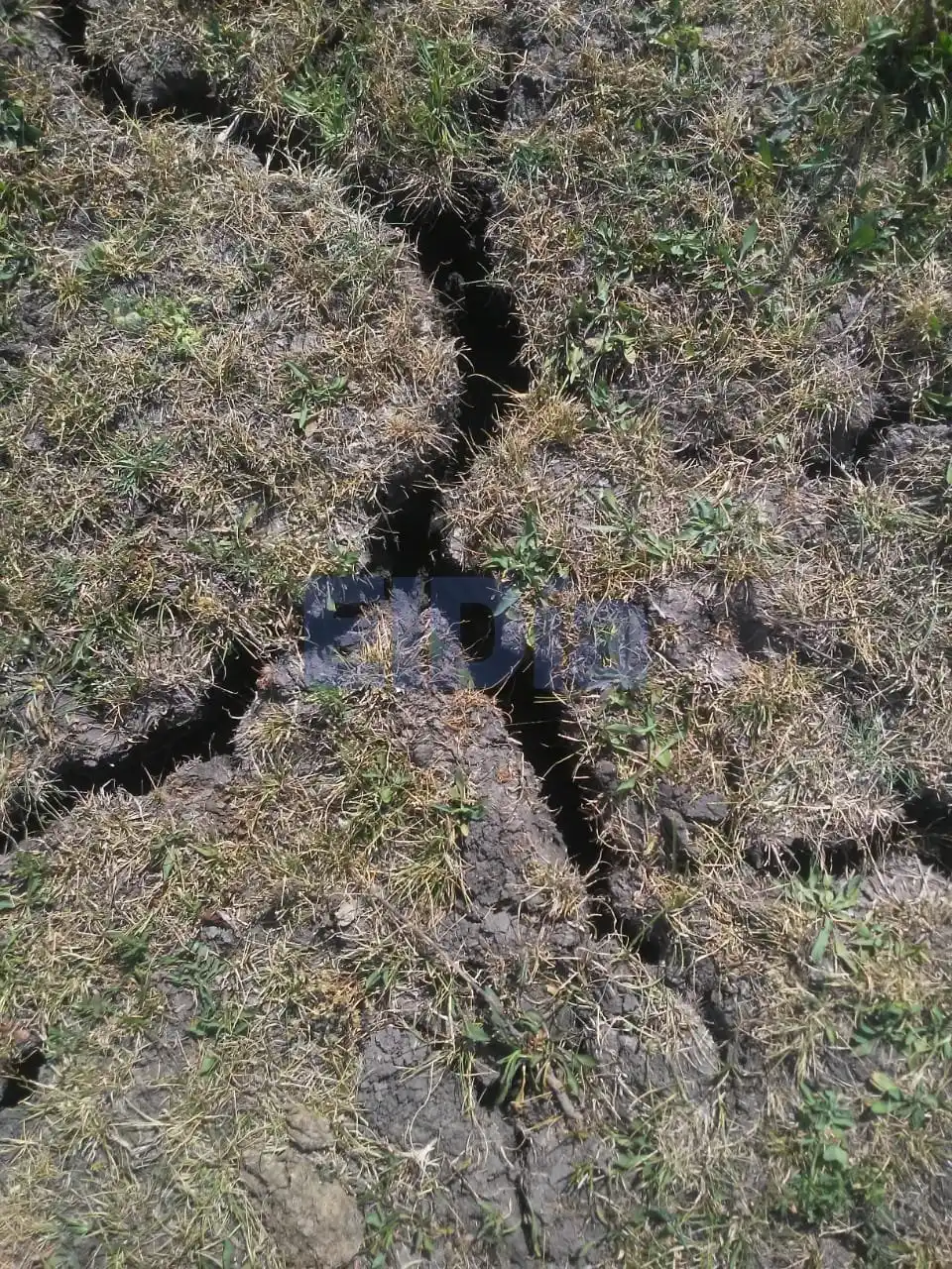 Advierten que la sequía "pone en jaque a toda la producción"