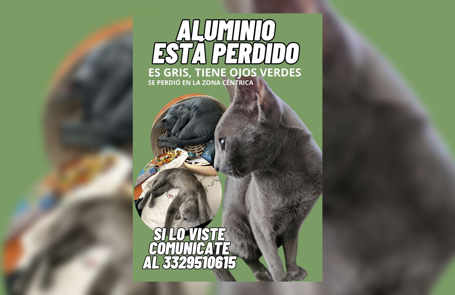 Buscan a Aluminio