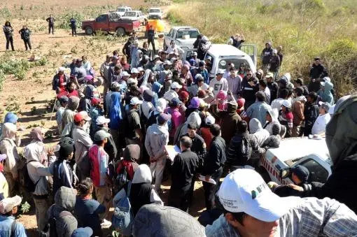 Trabajo Esclavo: Rescataron a 106 personas en San Antonio de Areco