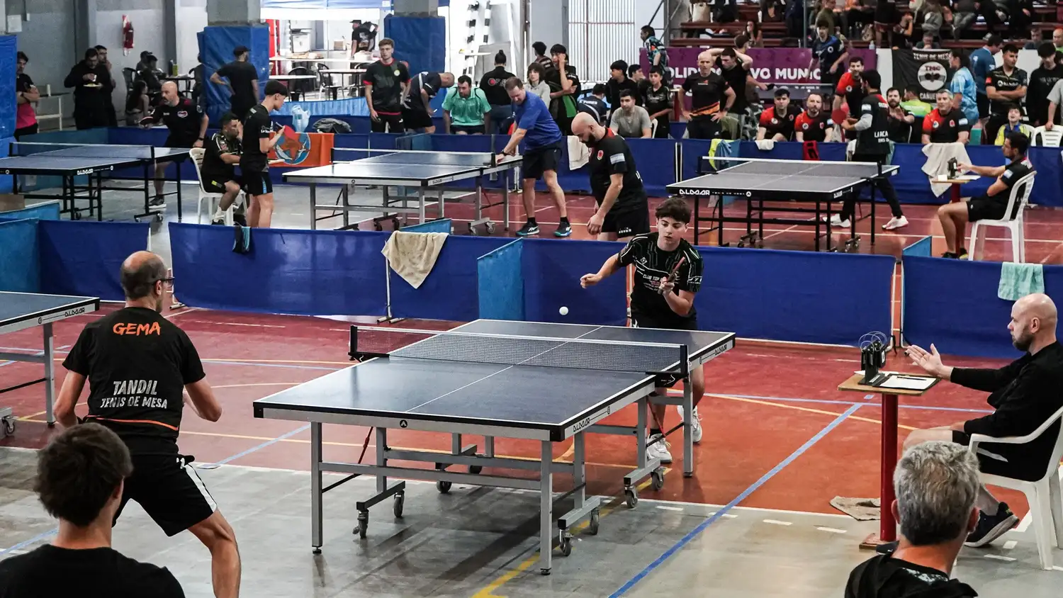Tenis de mesa 2