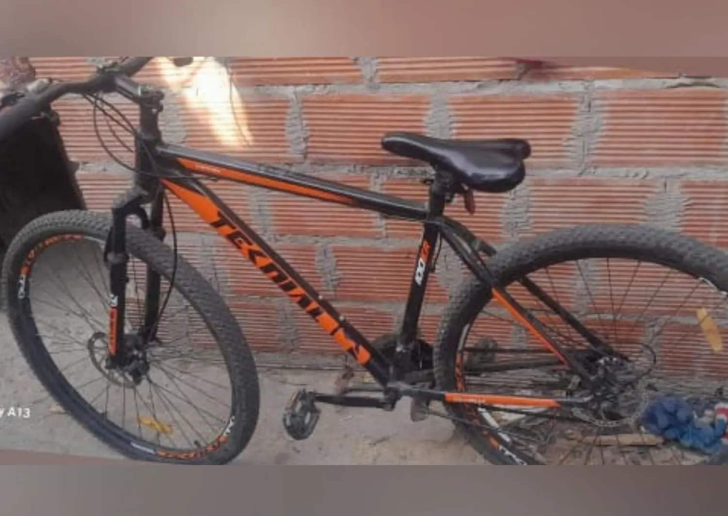 La foto del rodado que la dueña compartió en redes sociales.