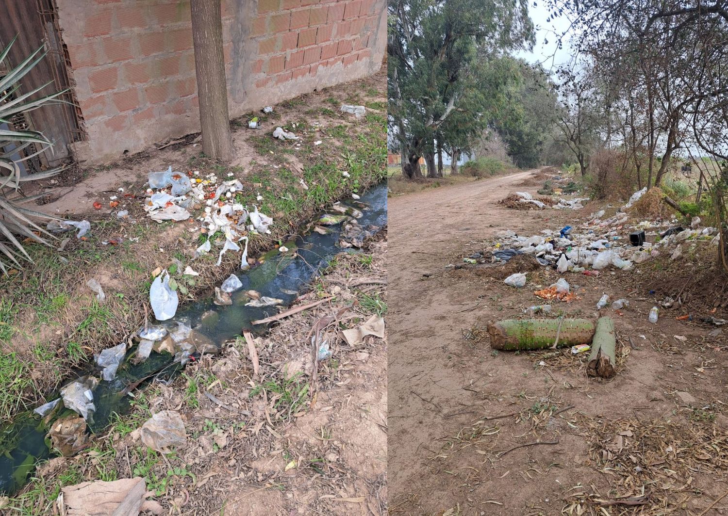 Vecino reporta que tiran basura en la esquina de su casa