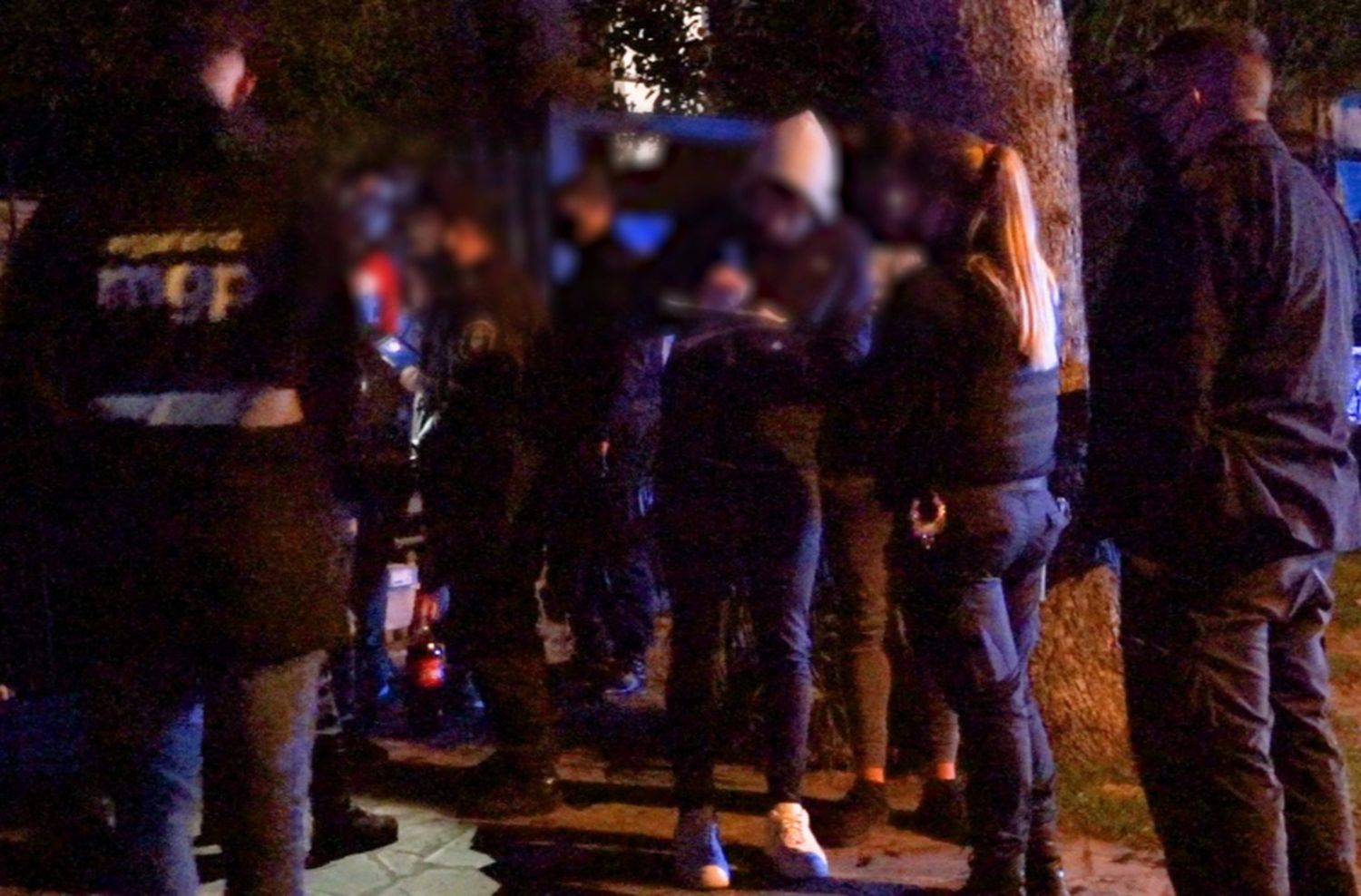 El Municipio desarticuló una fiesta clandestina con más de 150 personas