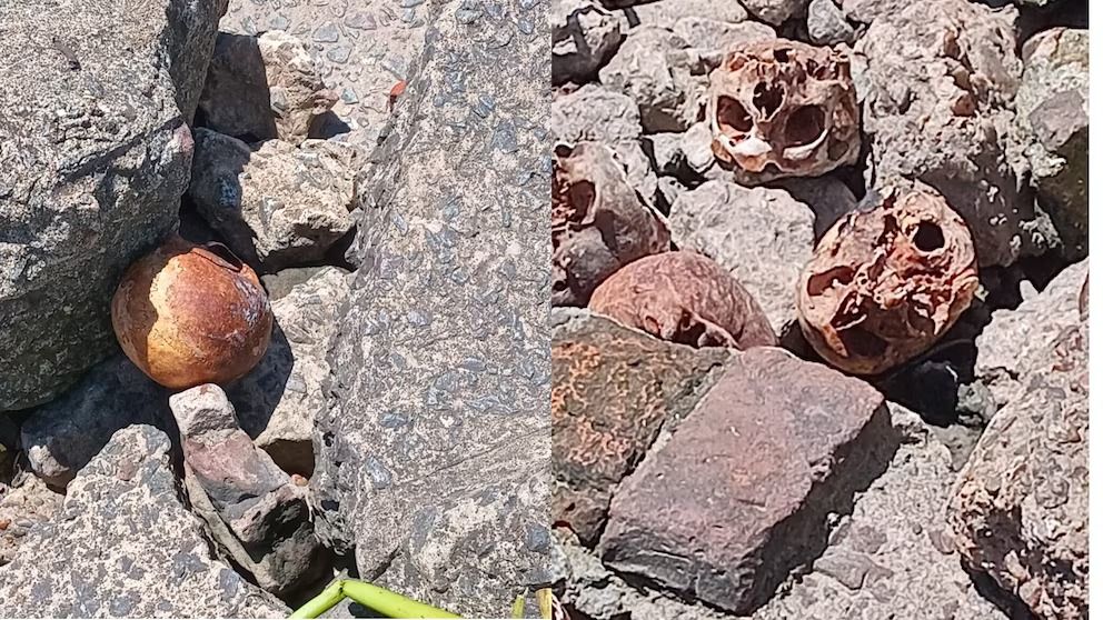 Unos 17 cráneos fueron hallados en la rivera de Quilmes