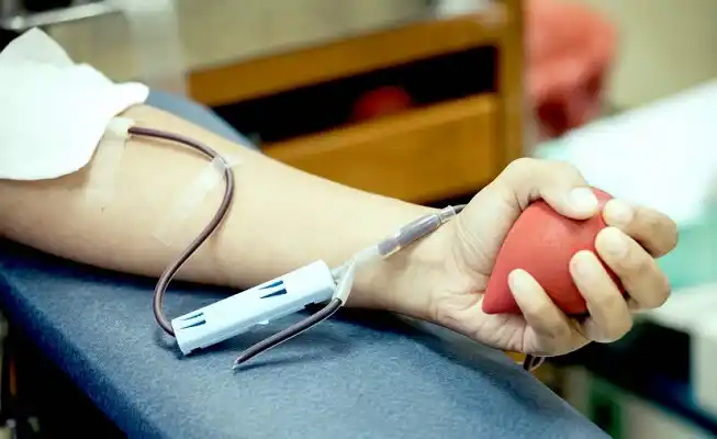 Donar en Vida: El Hospital Garrahan llegará a la Escuela Rocamora