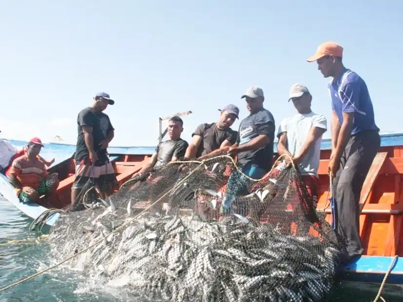 La actividad pesquera es uno de los rubros que más creció en 2025