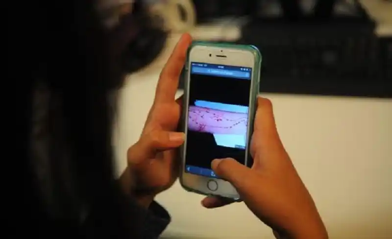 Qué es el peligroso juego de «La ballena azul» que circula por WhatsApp poniendo en riesgo a los adolescentes