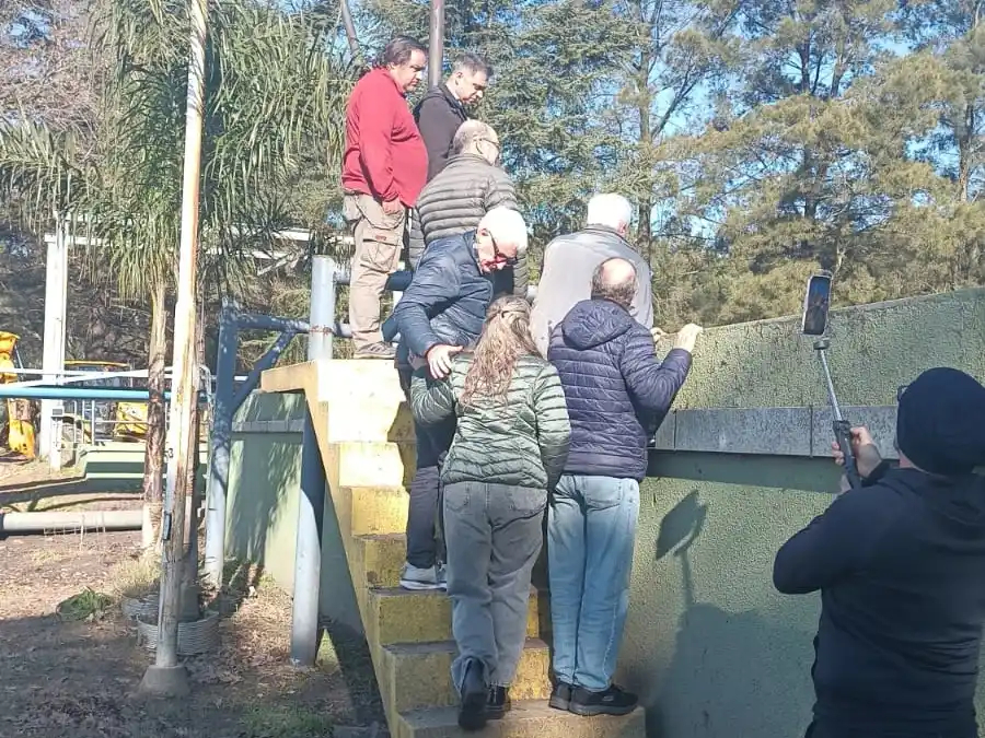 plata tratamiento pig - 1